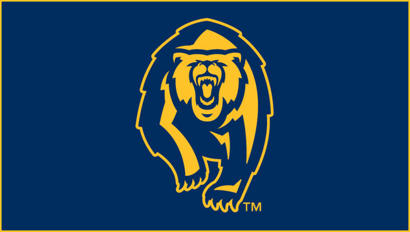 New Cal Berkeley Bear Logo 800x453