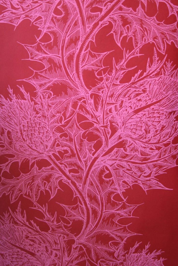Pink Thistle wallpaper from Timorous Beasties I would wallpaper the