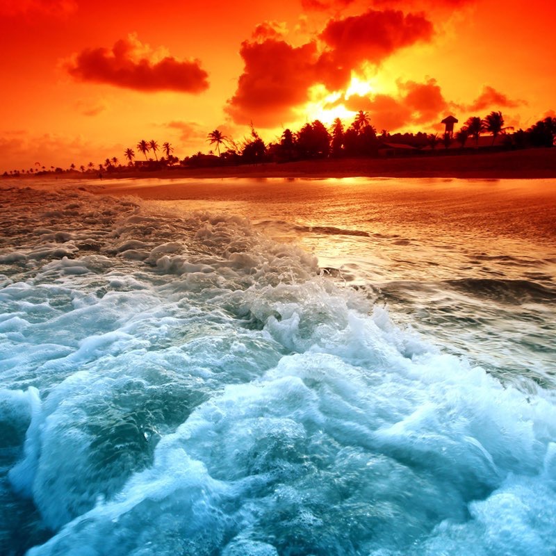 HD Tropical Beach iPad Background