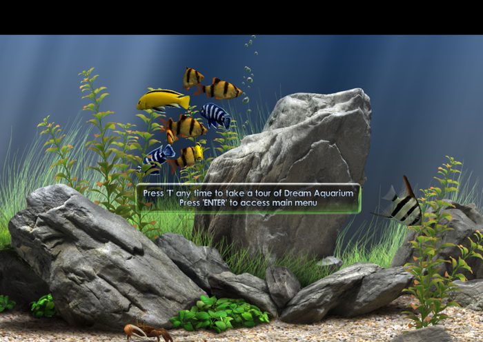 Dream Aquarium Screensaver Full Version