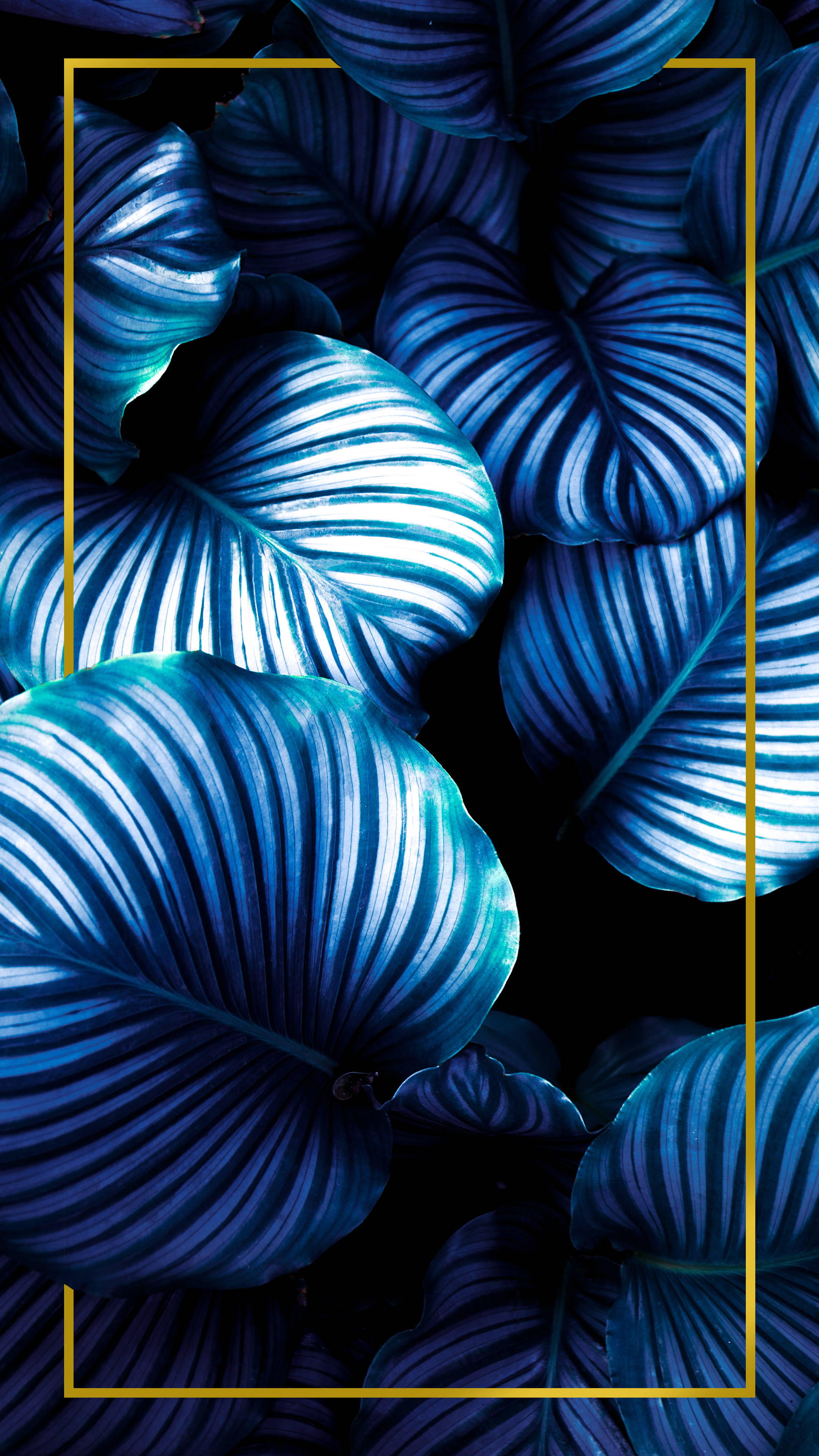 Minimalist Plant Wallpaper