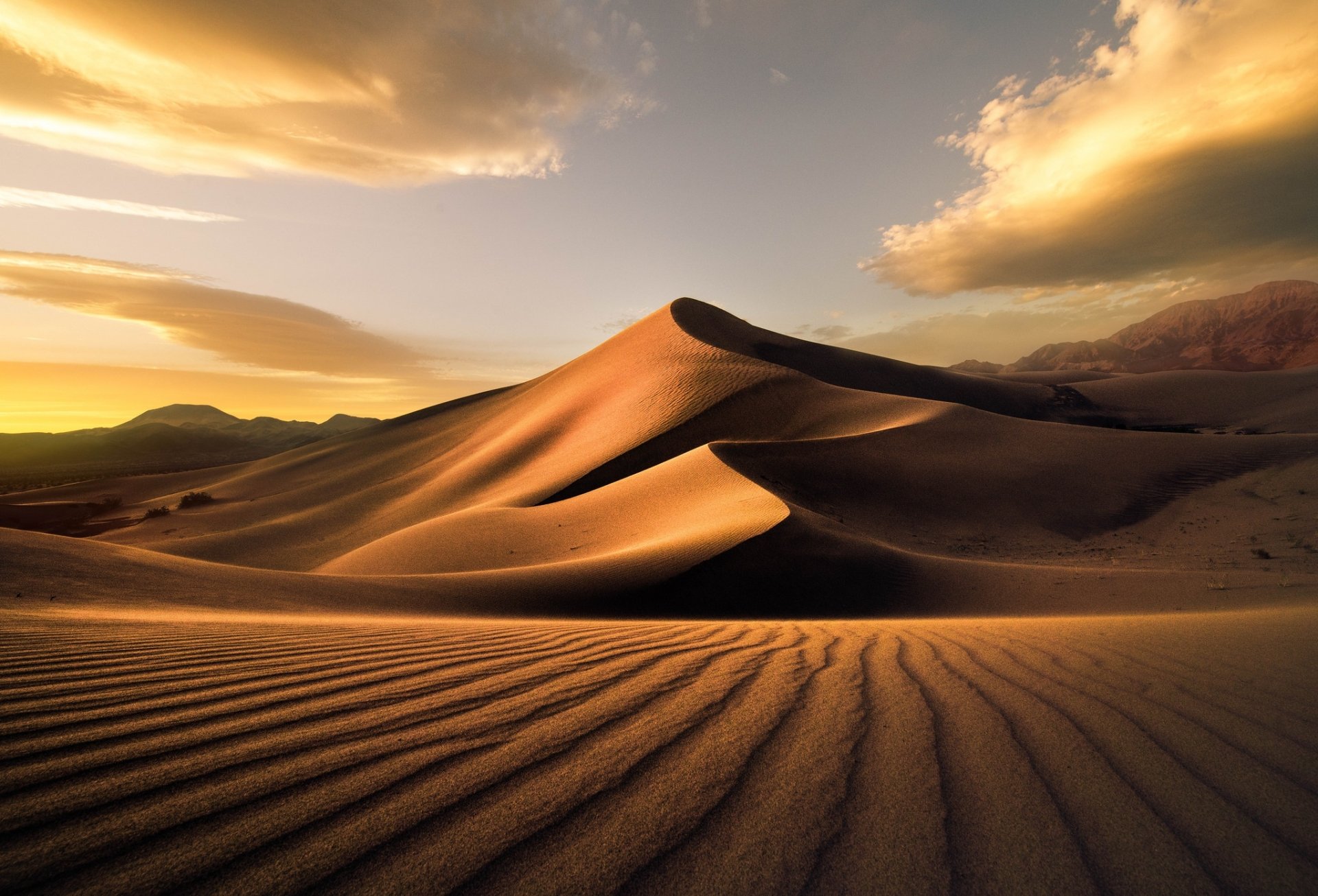 Golden Desert Sand Dunes Wallpaper