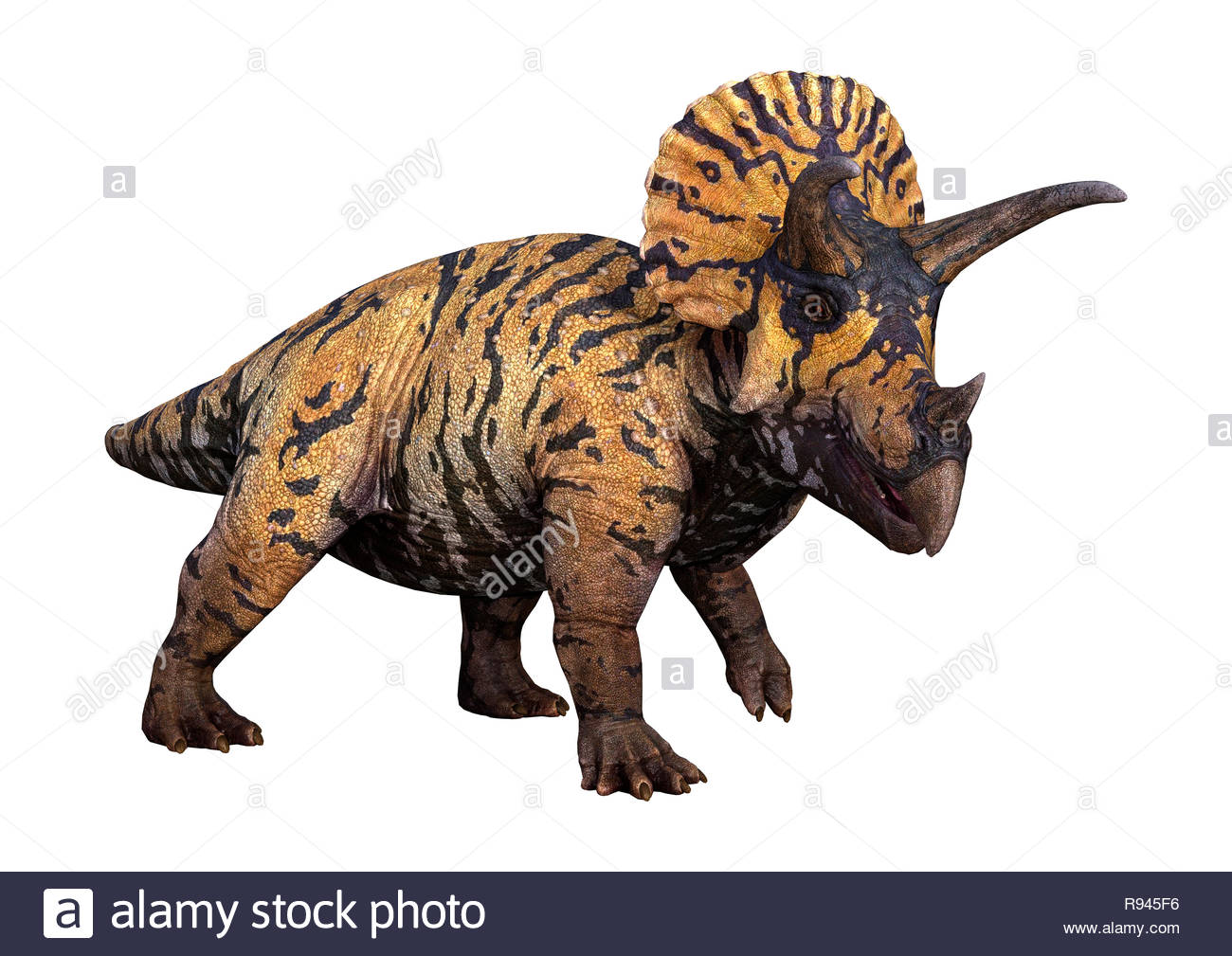 3d Rendering Of A Dinosaur Triceratops Isolated On White