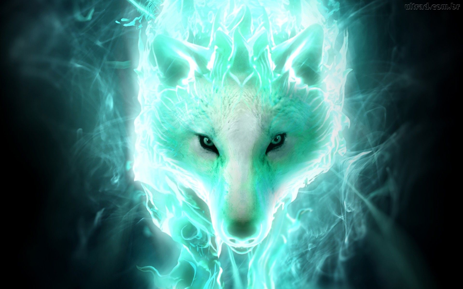 A majestic white wolf, enveloped in a mystical aura of glowing turquoise flames or energy, against a dark background. This fantasy-style image evokes a sense of power and magic
