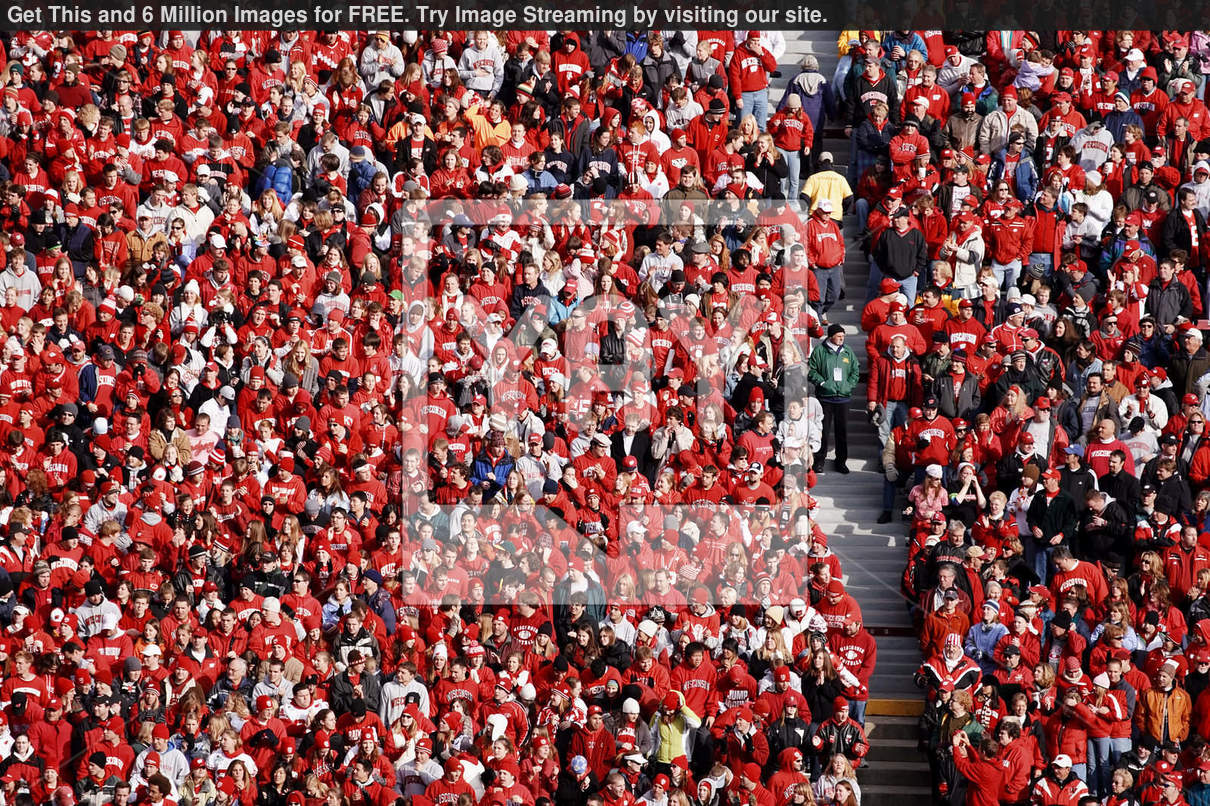 Royalty Image Of Wisconsin Badger Football Fans