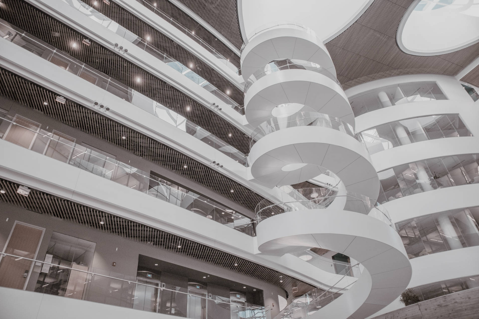 Top Northeastern University Wallpaper Full HD 4k To Use