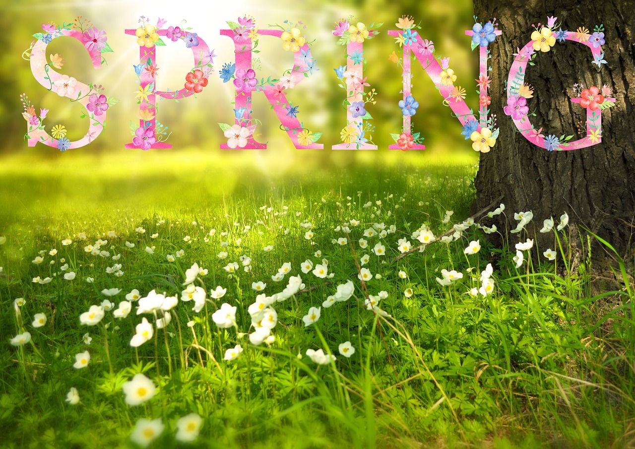 First Day Of Spring The Equinox