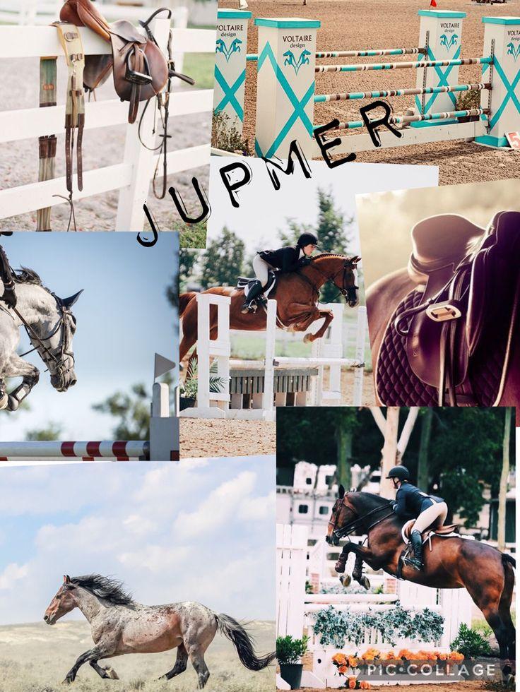 Jumper Aesthetics Horse Wallpaper Cute Pictures