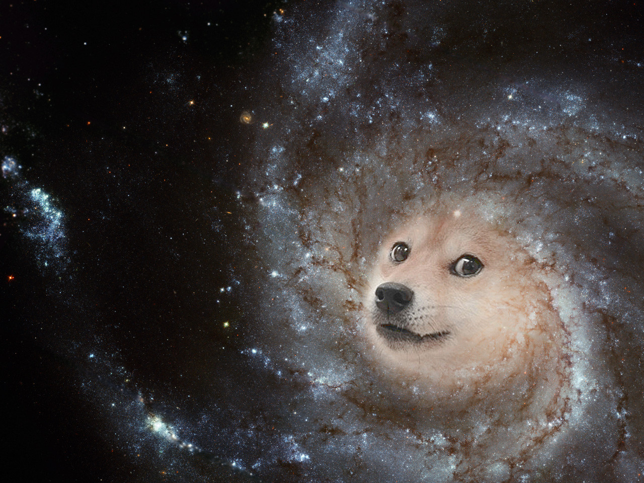 48+ Doge Space Wallpaper on WallpaperSafari