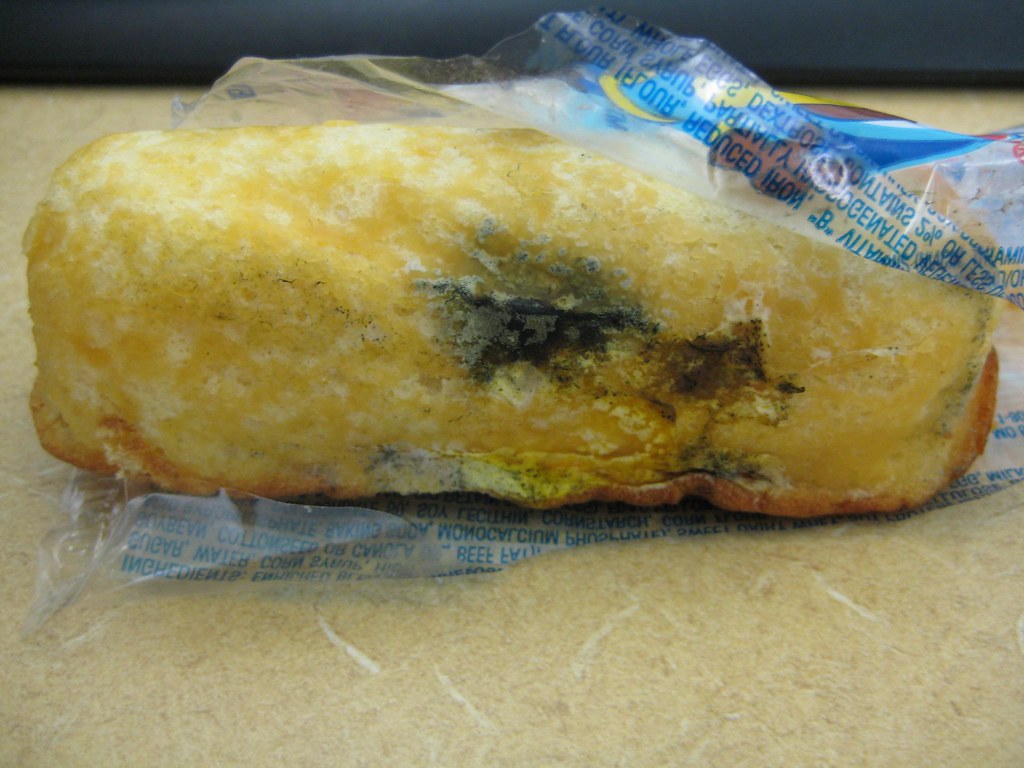 Moldy Twinky Yes They Can Rot Zoom In For More Colors
