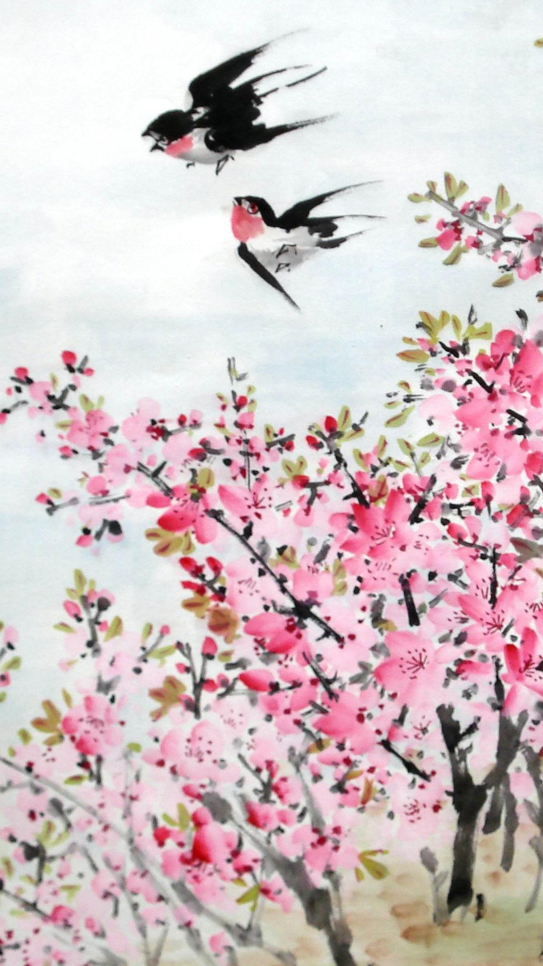 Spring Swallows Illustrator iPhone Plus Wallpaper
