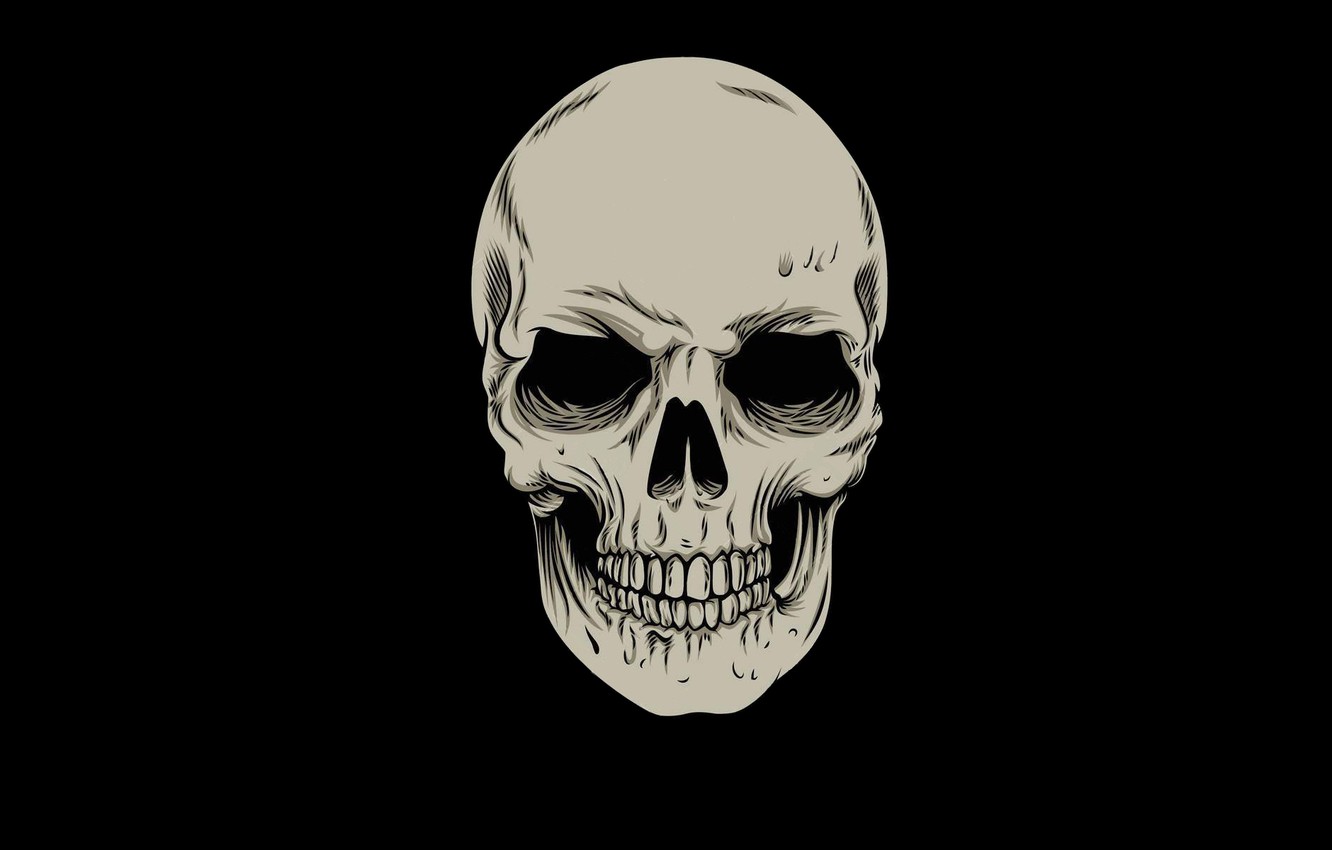 Wallpaper Skull Minimalism Head Skeleton Sake Black