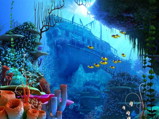 Coral Reef 3d Screensaver Coupon And Re
