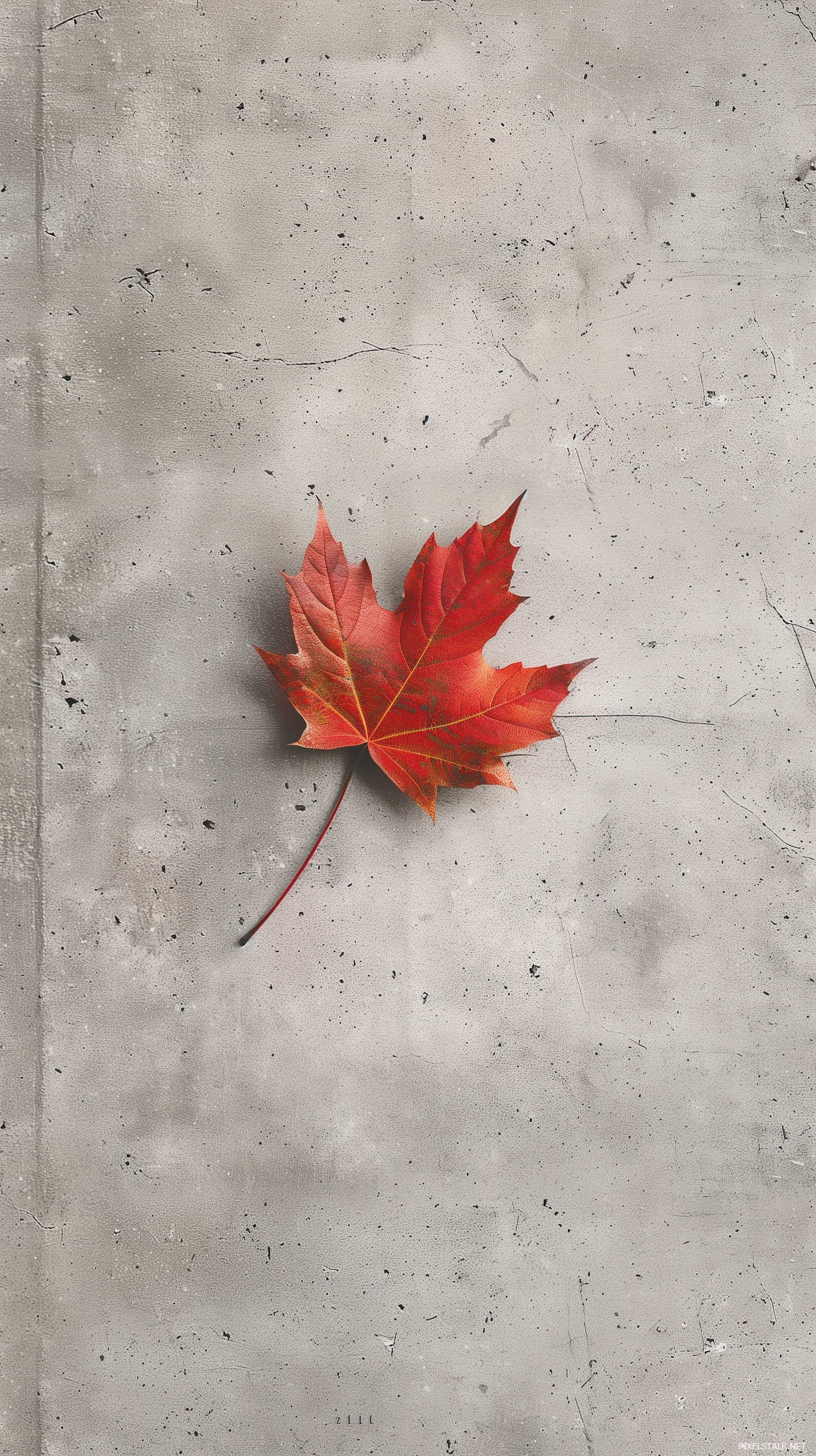 Autumn Phone Wallpaper