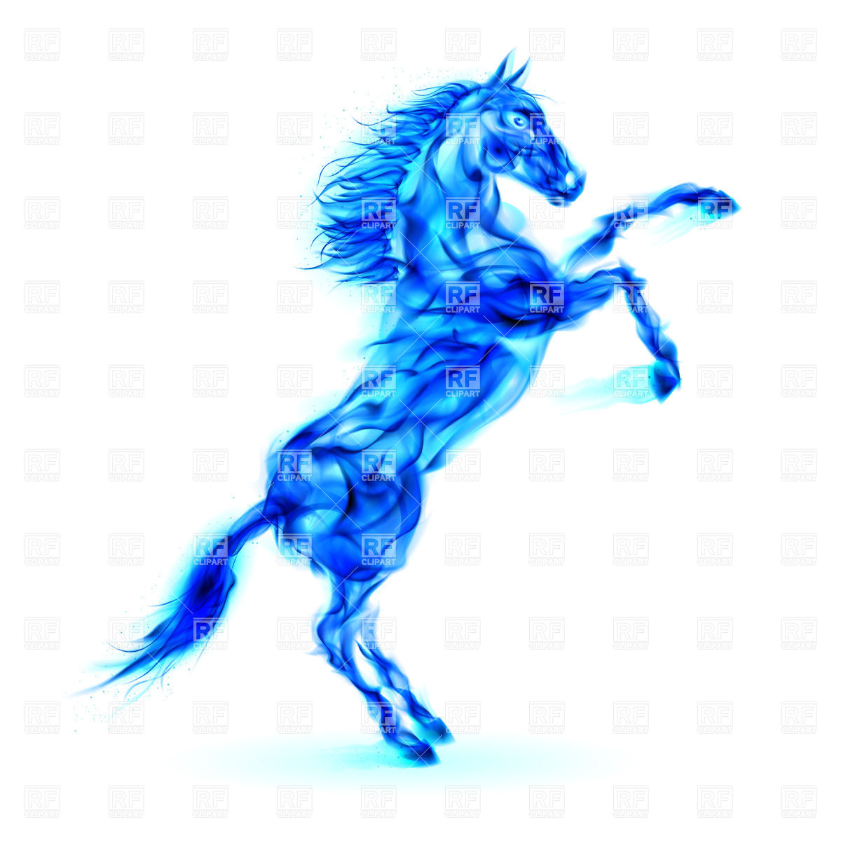 Wallpaper Horse High Quality Background For Mobile iPhone