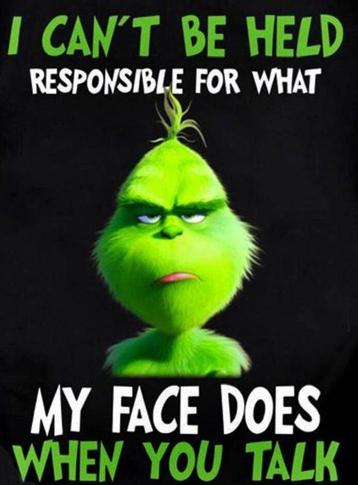 Top Funny Quotes From The Grinch psychologicalvideoshilarious