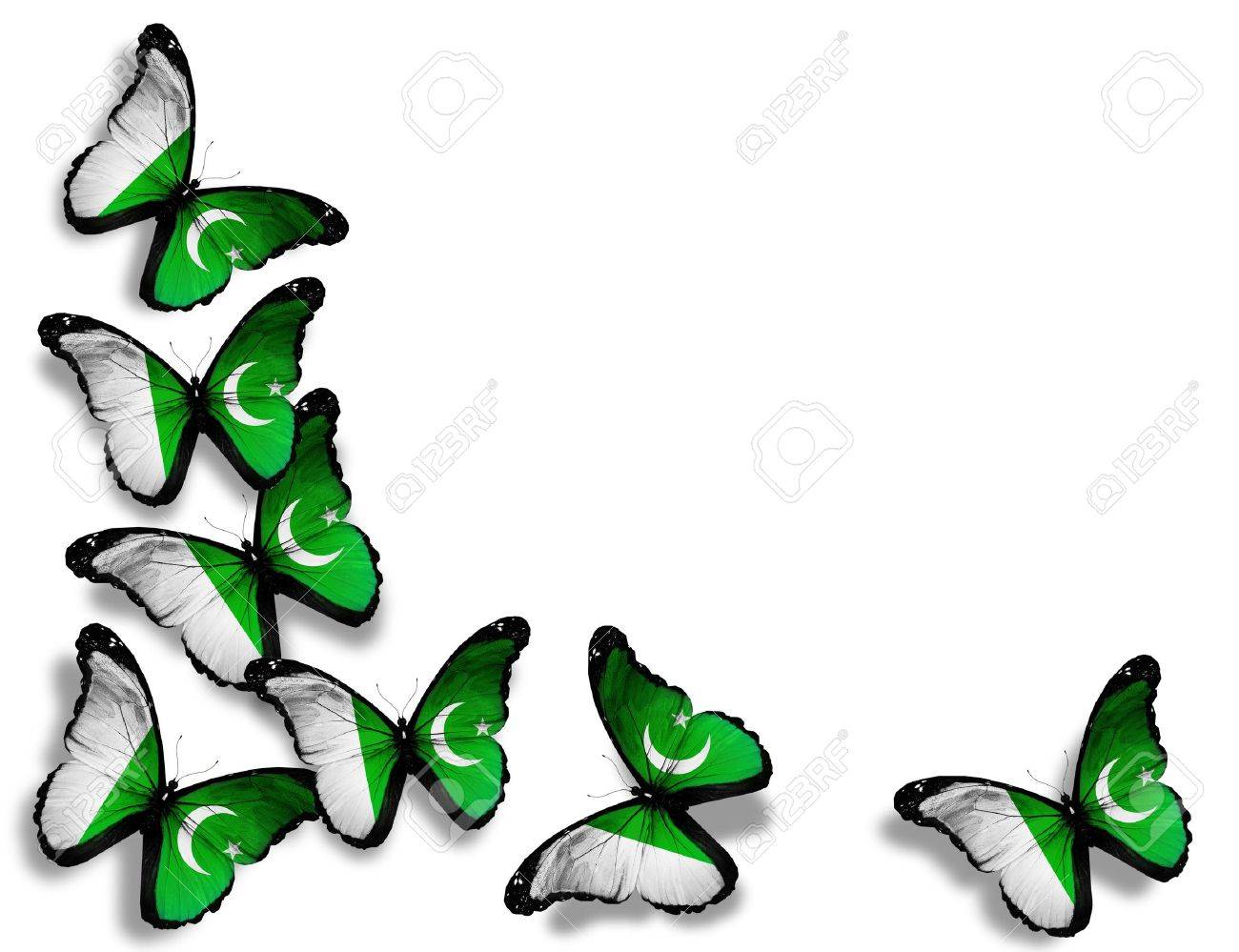 Pakistani Flag Butterflies Isolated On White Background Stock