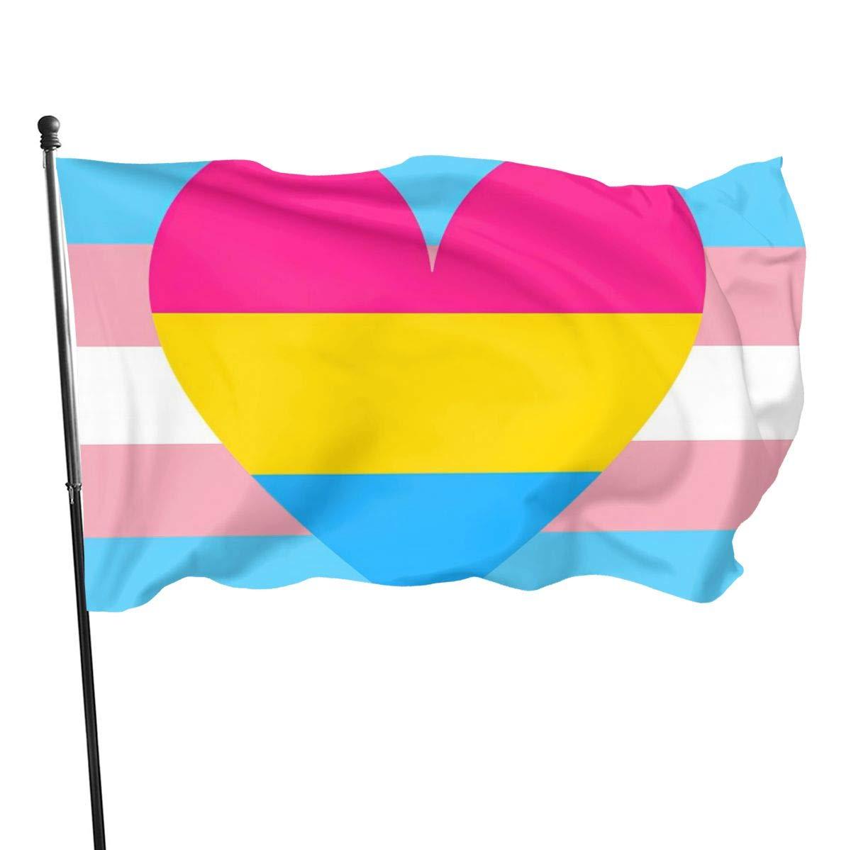 Transgender Trans And Pan Pansexual Pride Flag Heart Vivid Color