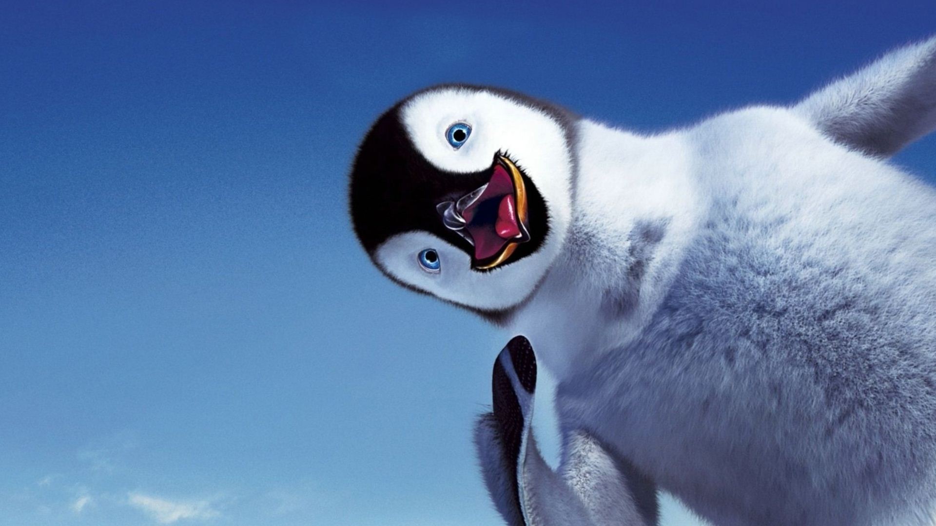 Cute Child Penguin Wallpaper Desktop High Resolution