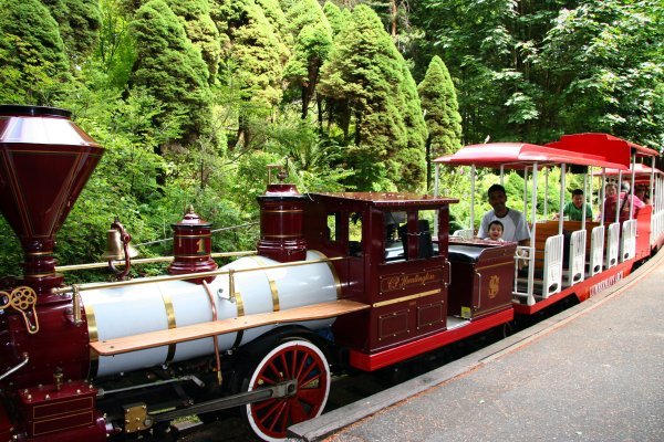 The Miniature Train Ride In Stanley Park Photo