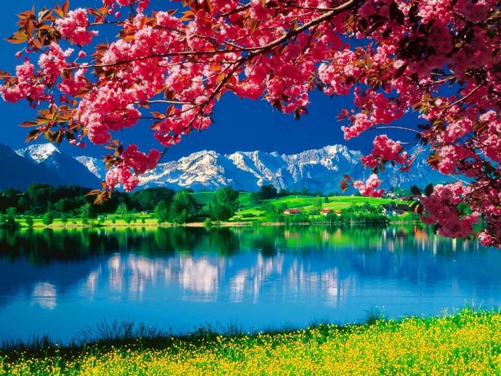 Quality Nature Wallpaper