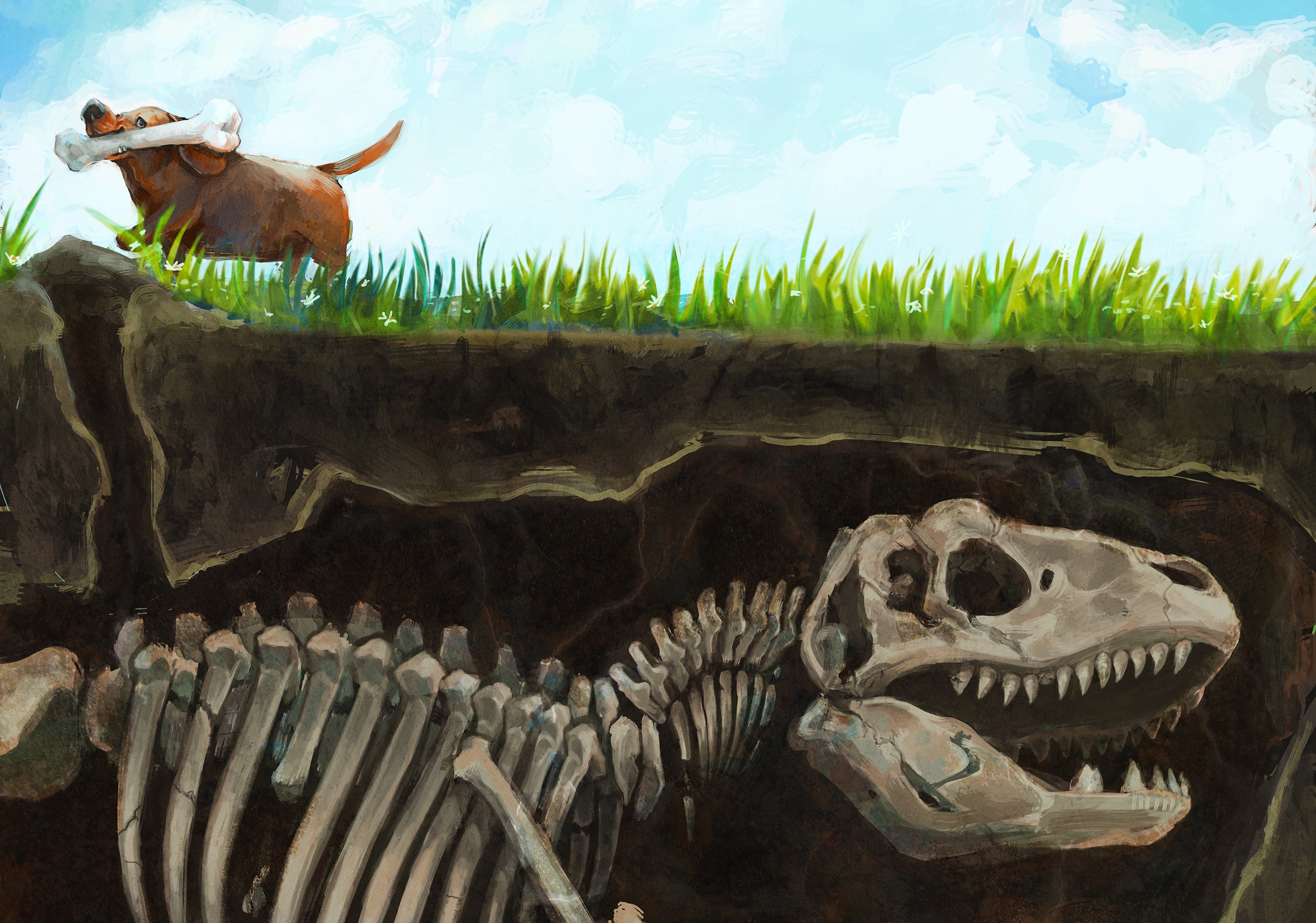 dinosaur skeleton wallpaper   ForWallpapercom