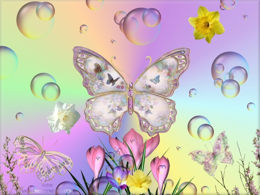 Spring Butterfly Wallpaper Amazing