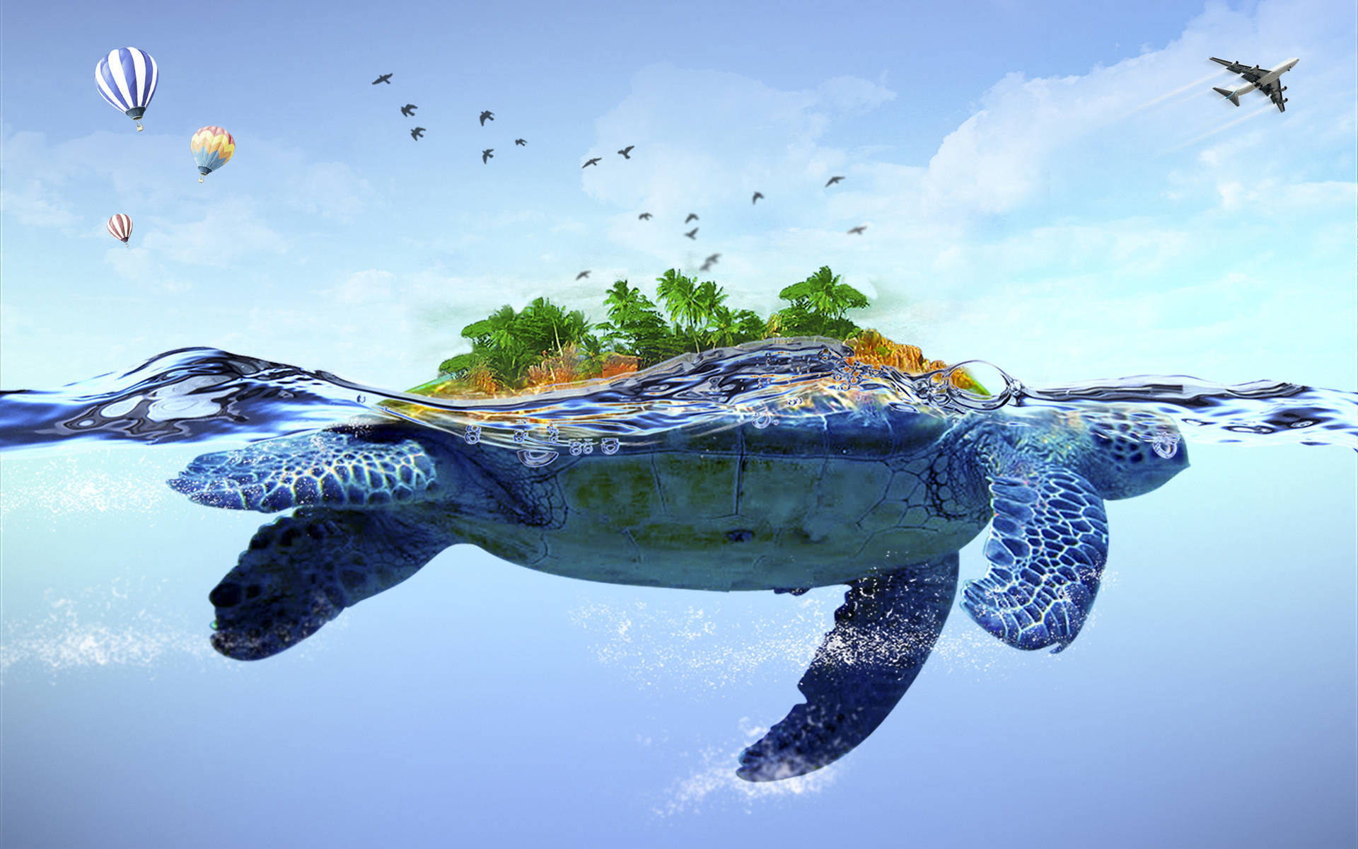 Top Cool Turtle Wallpaper Full HD 4k To Use