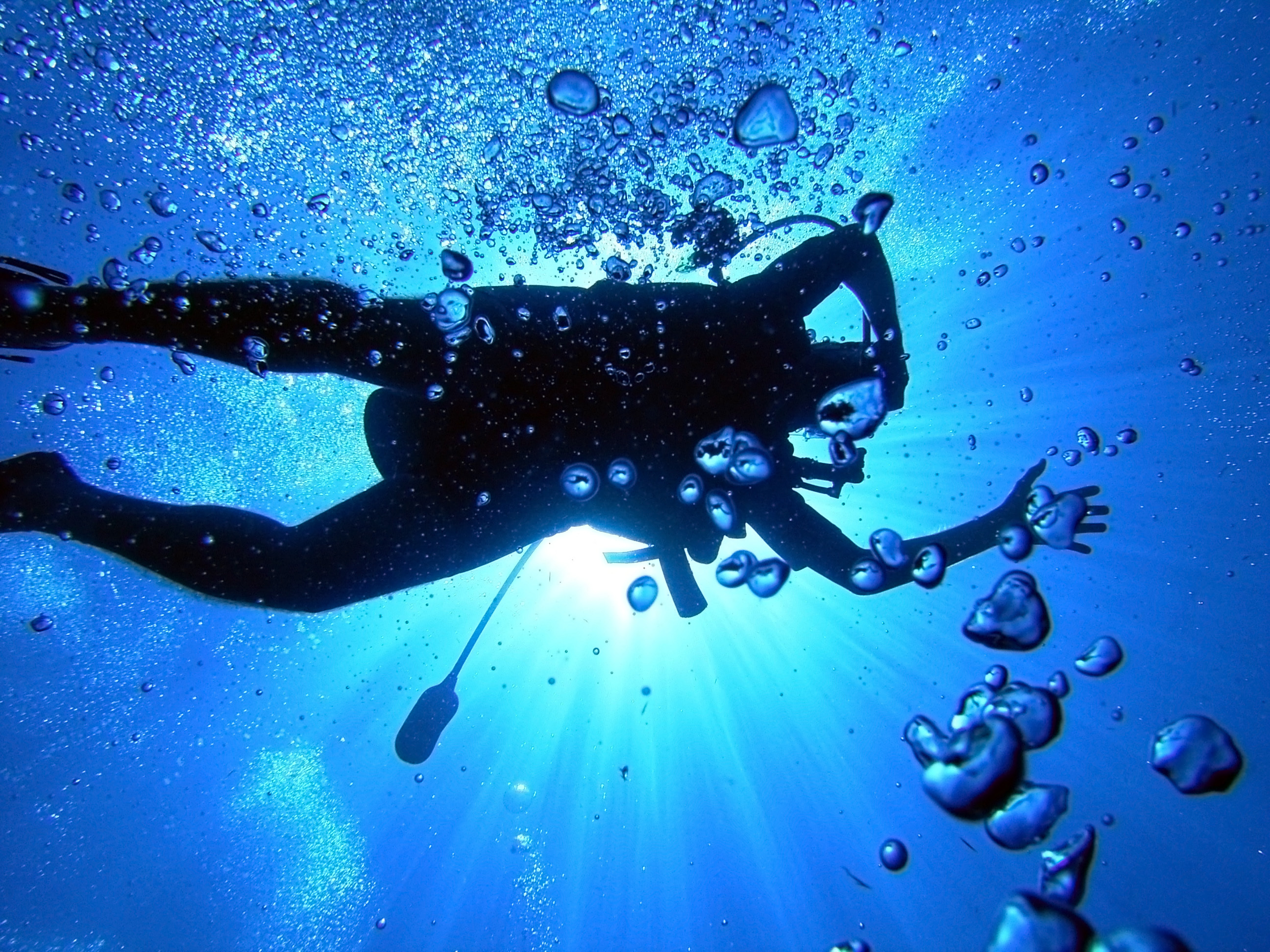 High Definition Photo Of Diving Wallpaper Sea Scuba Imagebank
