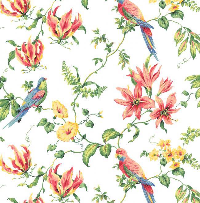 Designer Tropical Floral And Parrots On White Background