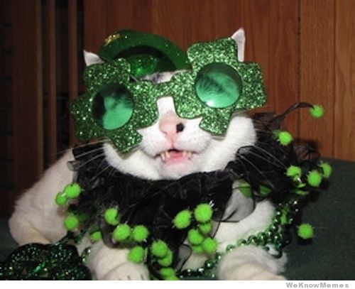 Cats Who Love Celebrating St Patrick S Day Happy Catrick