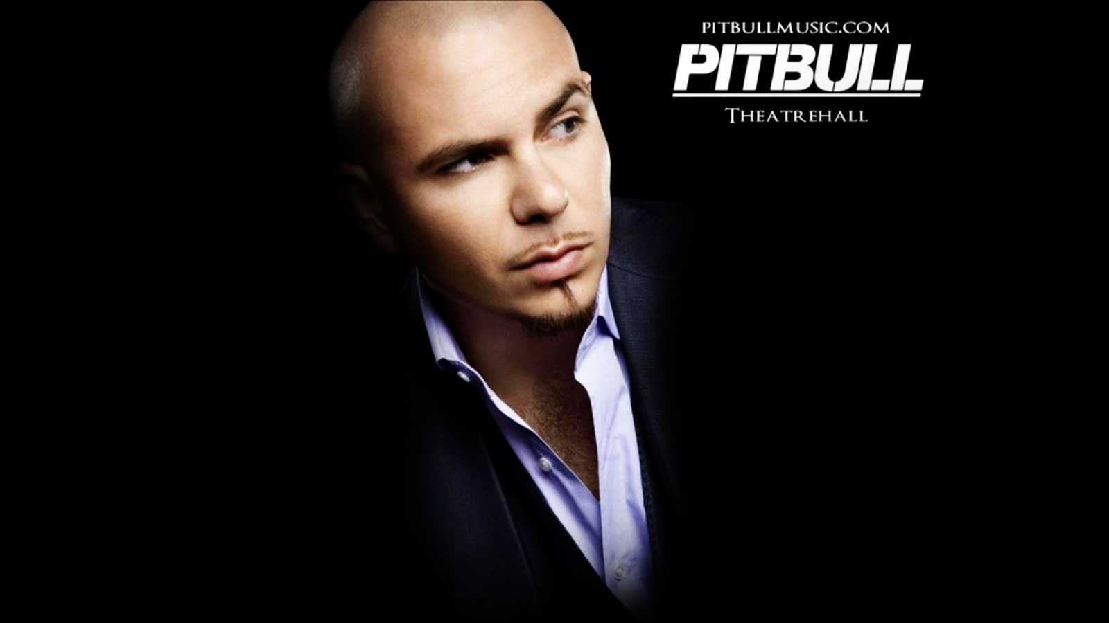 Rapper Pitbull HD Wallpaper In For Your