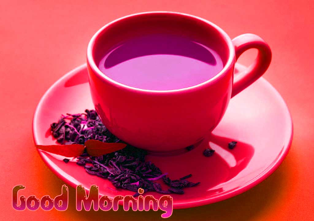 186 Good Morning Images Photo Wallpaper Picture Free Download