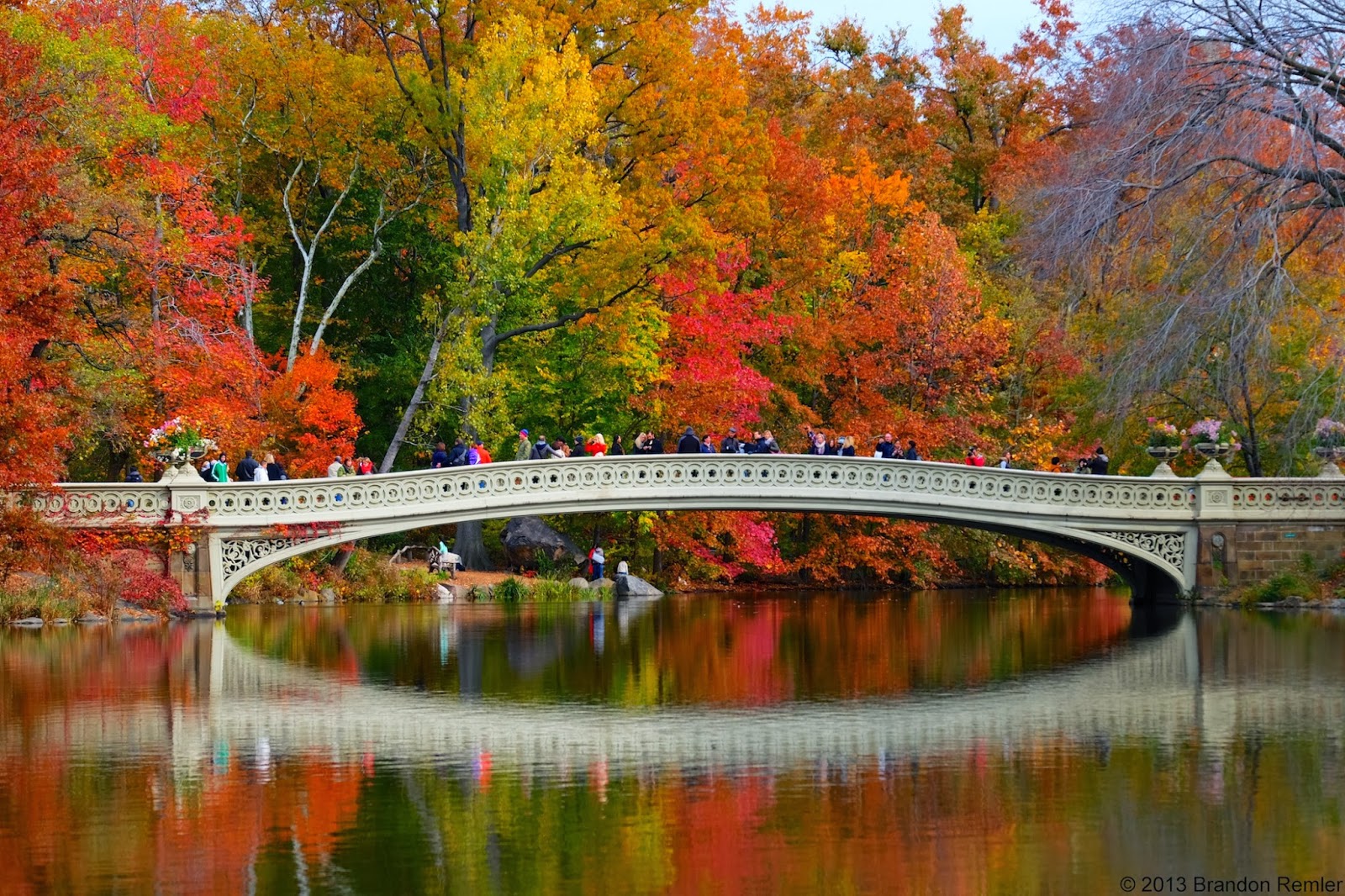 Central Park Fall Foliage