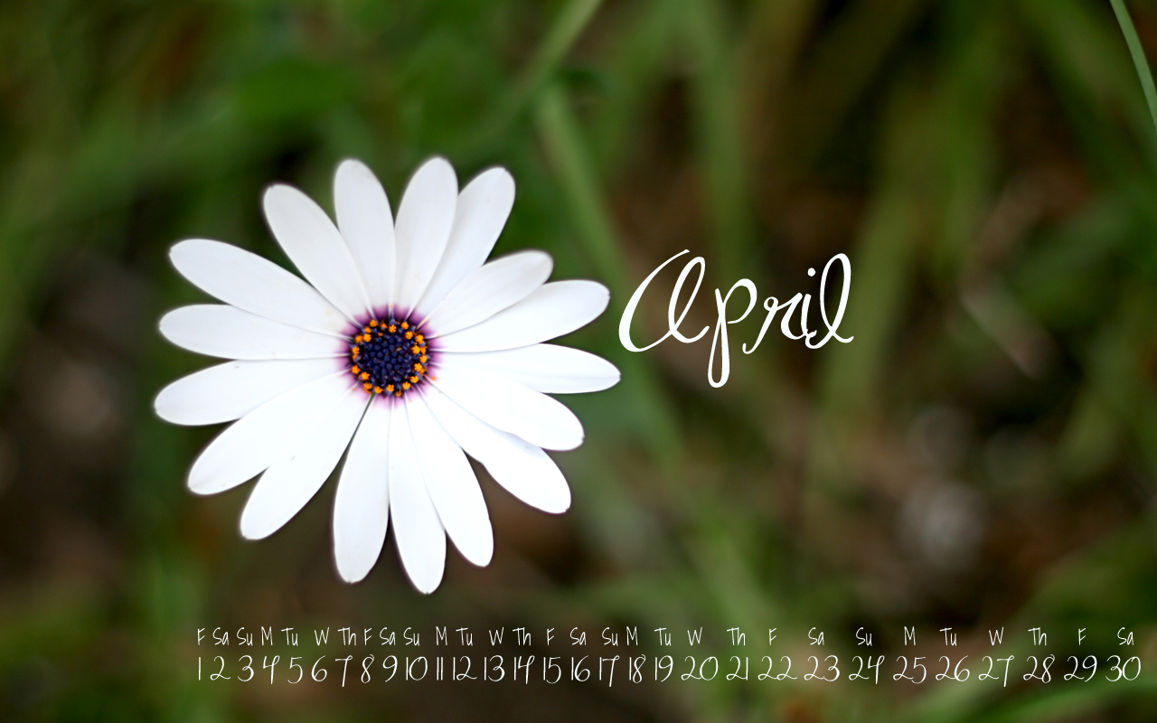 Beautiful April Desktop & Mobile Wallpaper - Free Backgrounds
