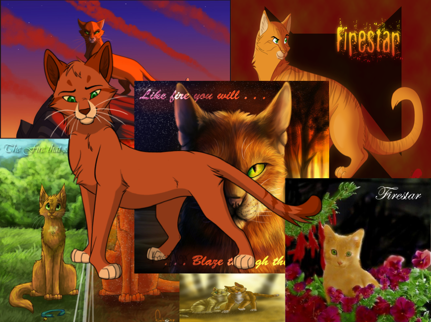 Warrior Cats Firestar Wallpaper By Whisperofleafs