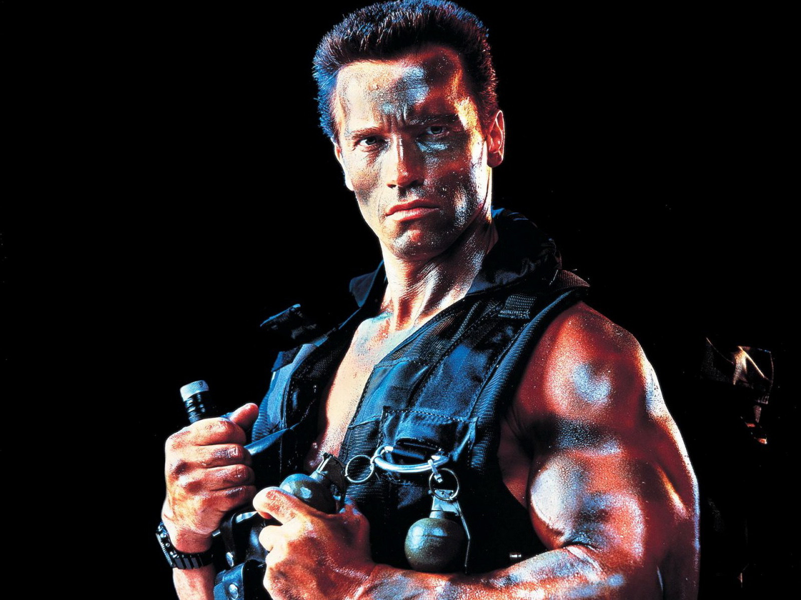 Arnold Schwarzenegger Conquer Wallpaper HD Elrinconcitodemaya