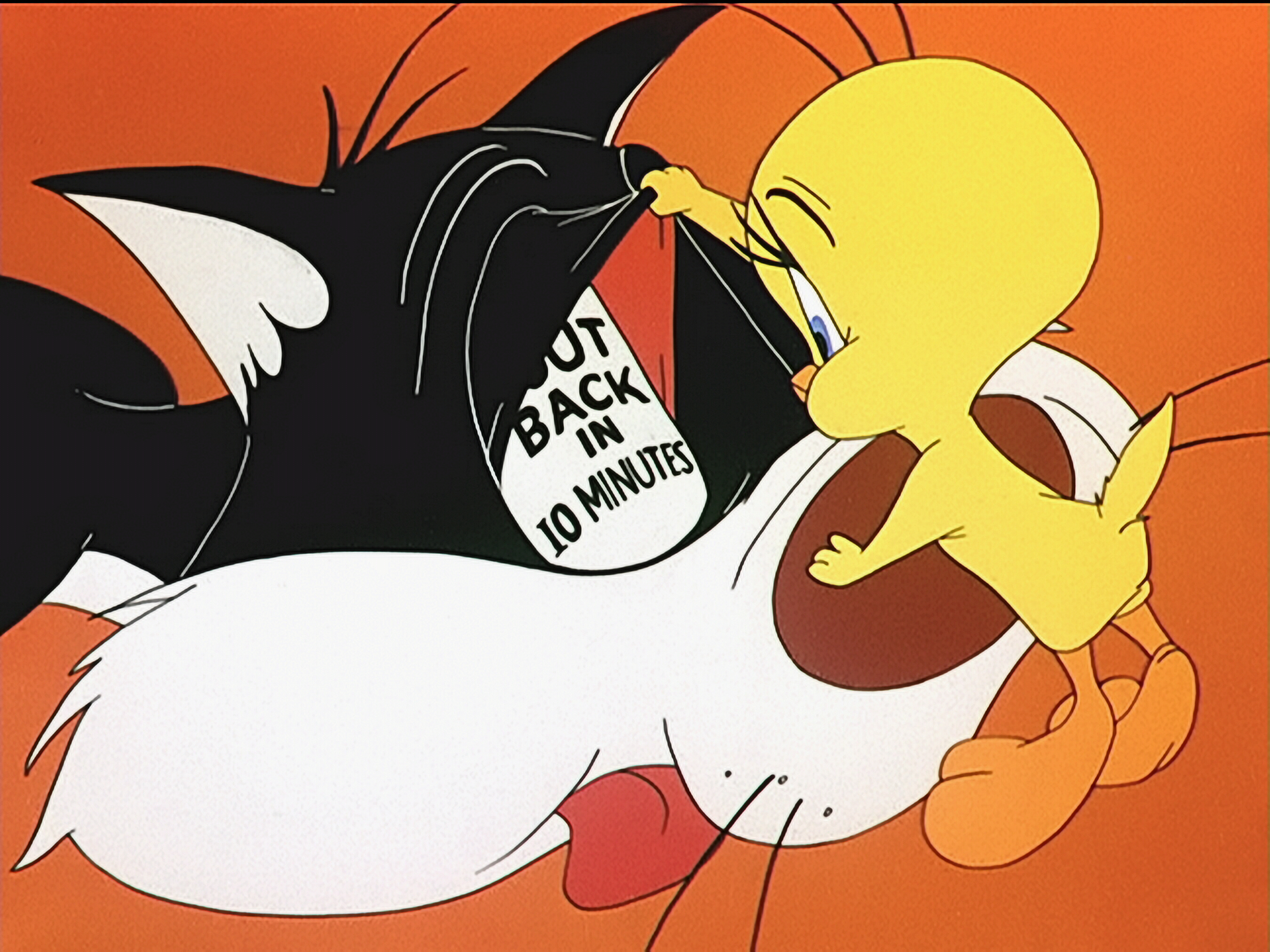 Sylvester And Tweety Pie Wallpaper