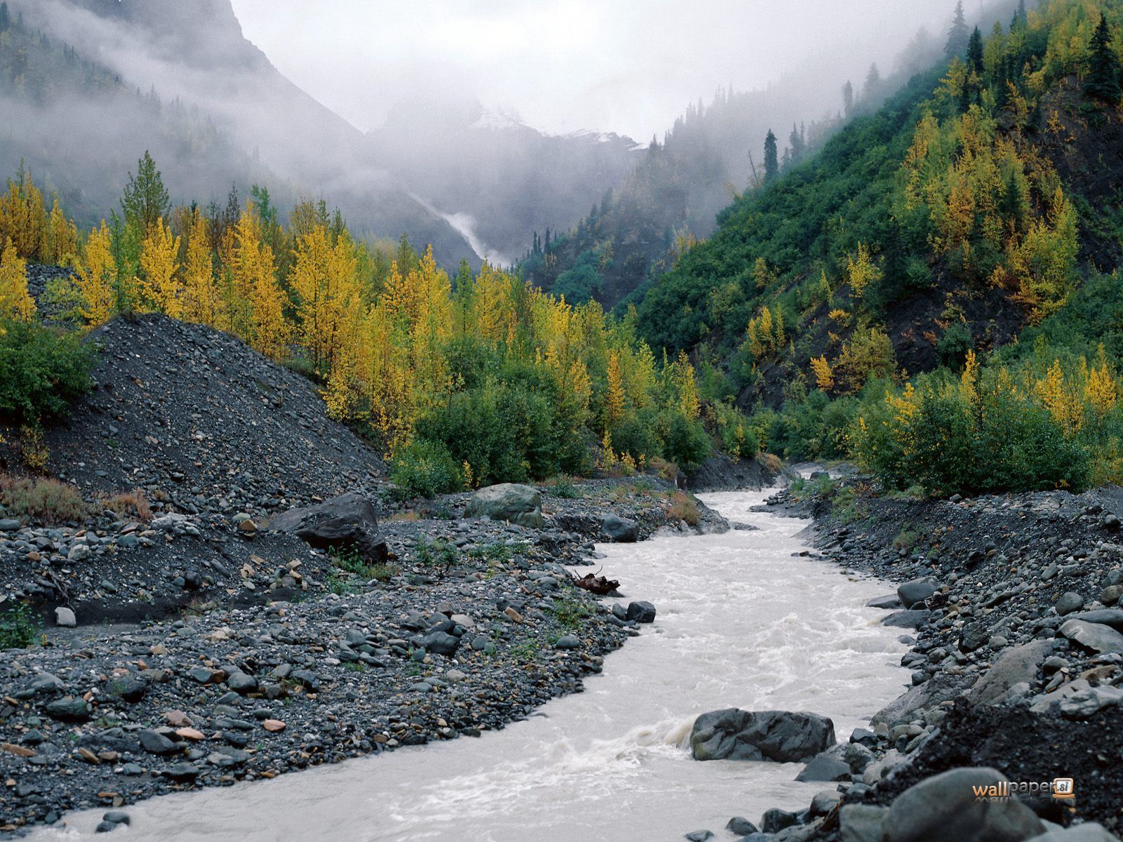 Alaska Wallpaper Scenery Foggy