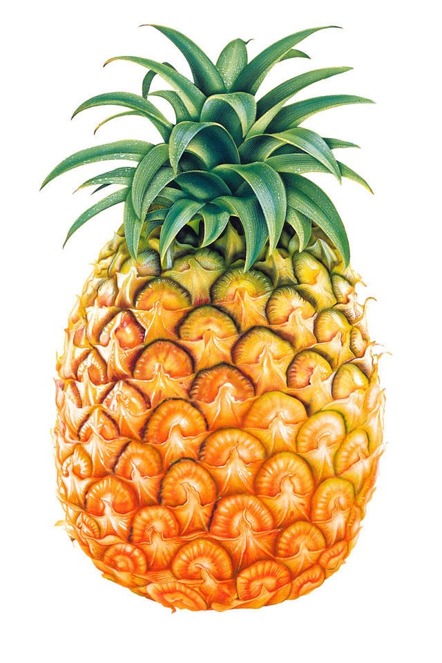 Pineapple iPhone Wallpaper Ipod Touch Background