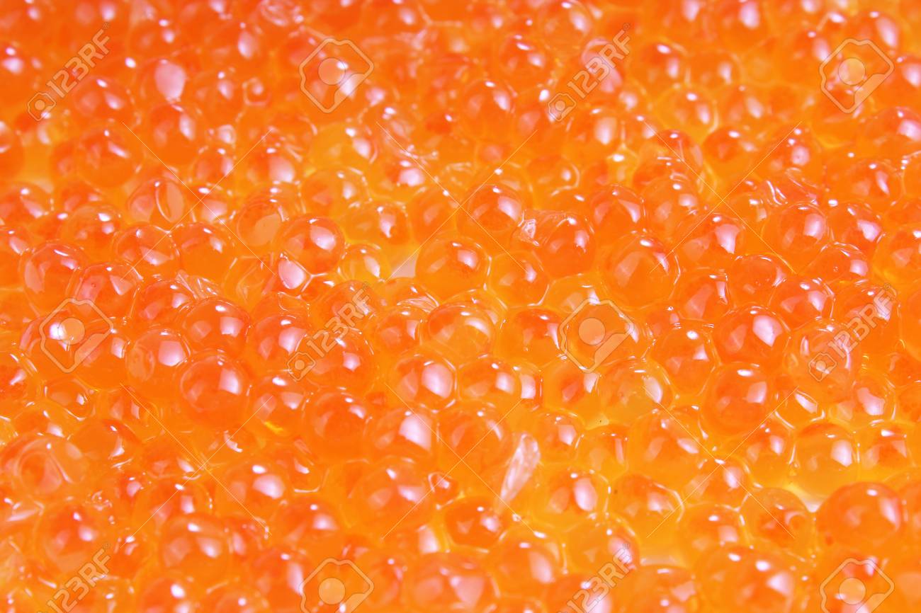 Free download Red Caviar Studio Photo Caviar Texture Pattern Background
