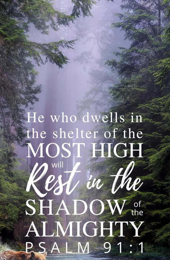 Bible Verse Phone Wallpaper