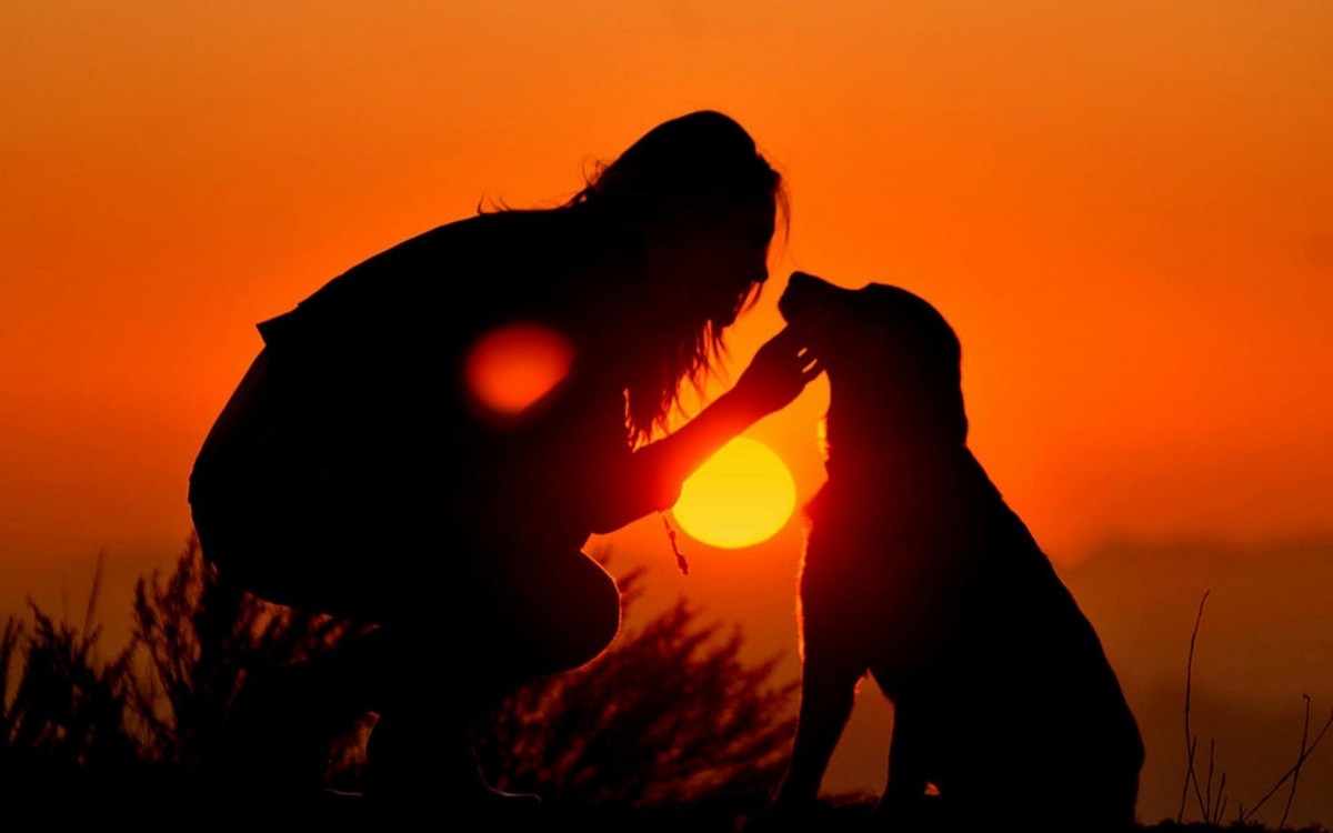 Girl And Dog Silhouette Wallpaper photos of Wallpapers as Options to