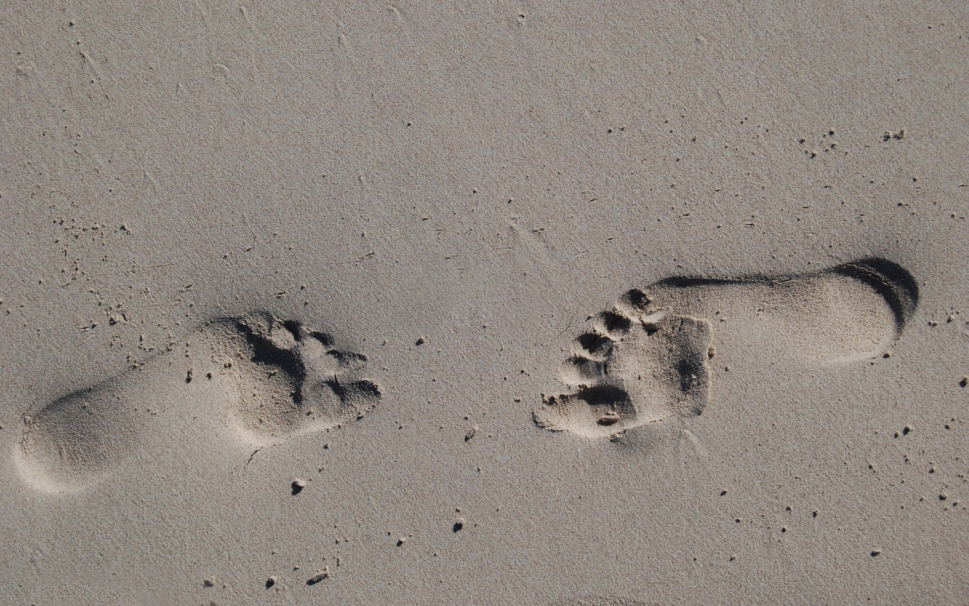 Footprints In The Sand Wallpaper