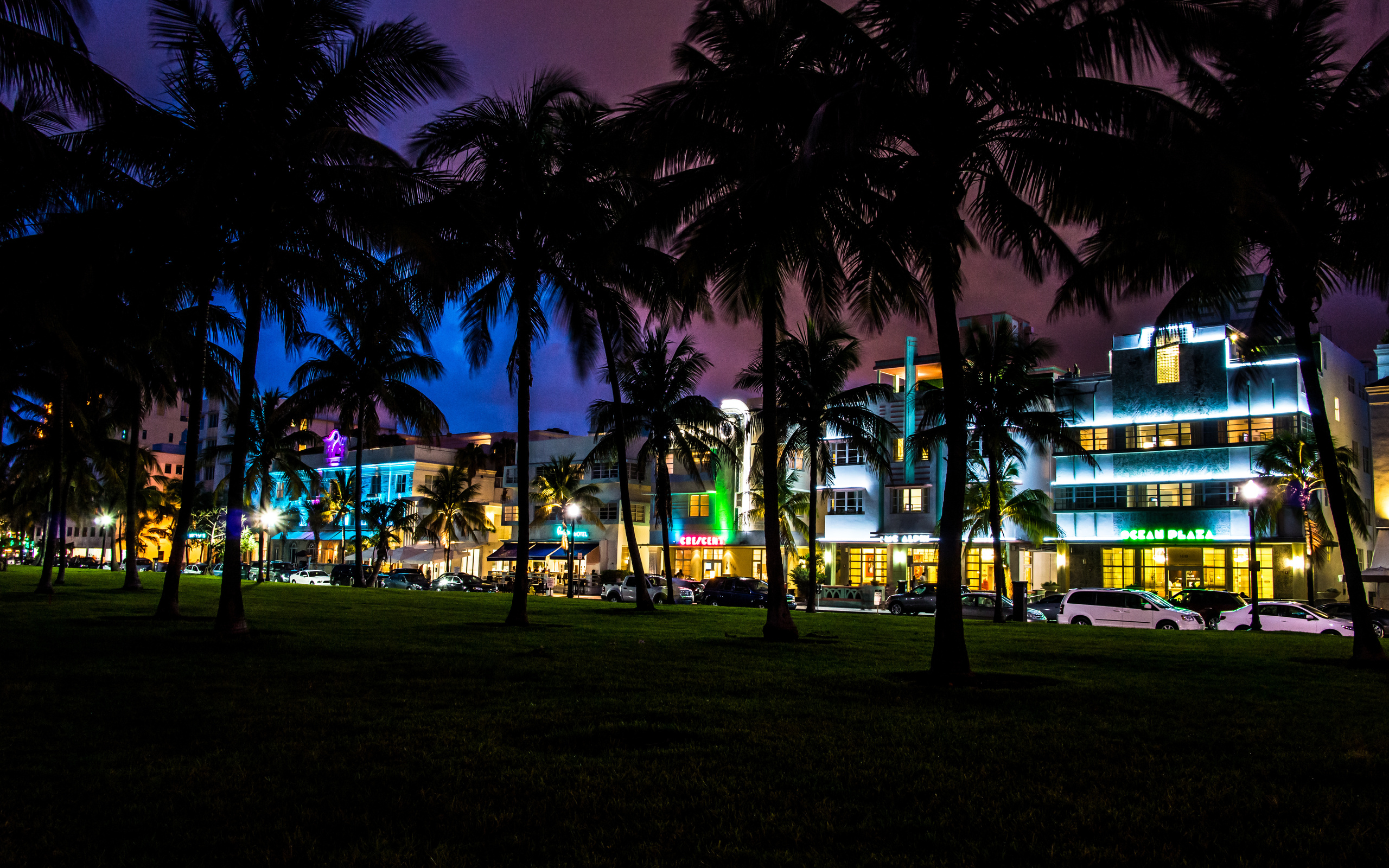 Night view of Ocean Drive in Miami Beach, Florida, with illuminated Art Deco hotels and palm trees