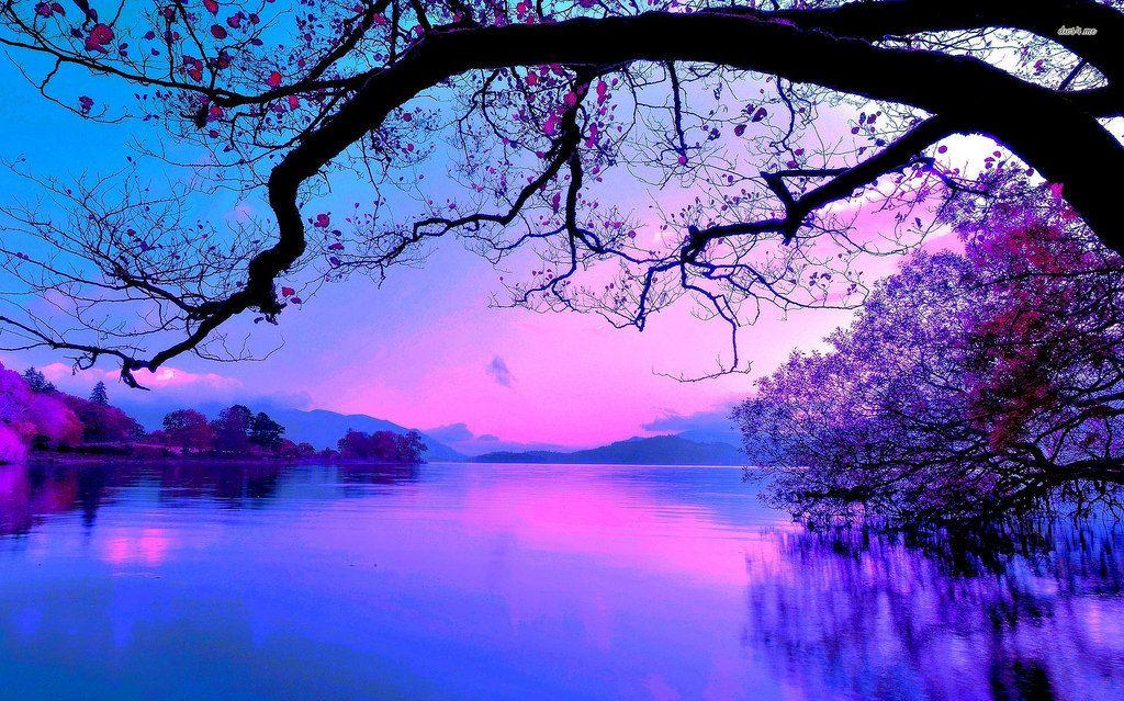Purple Sunset Landscape Wallpaper Beautiful Nature