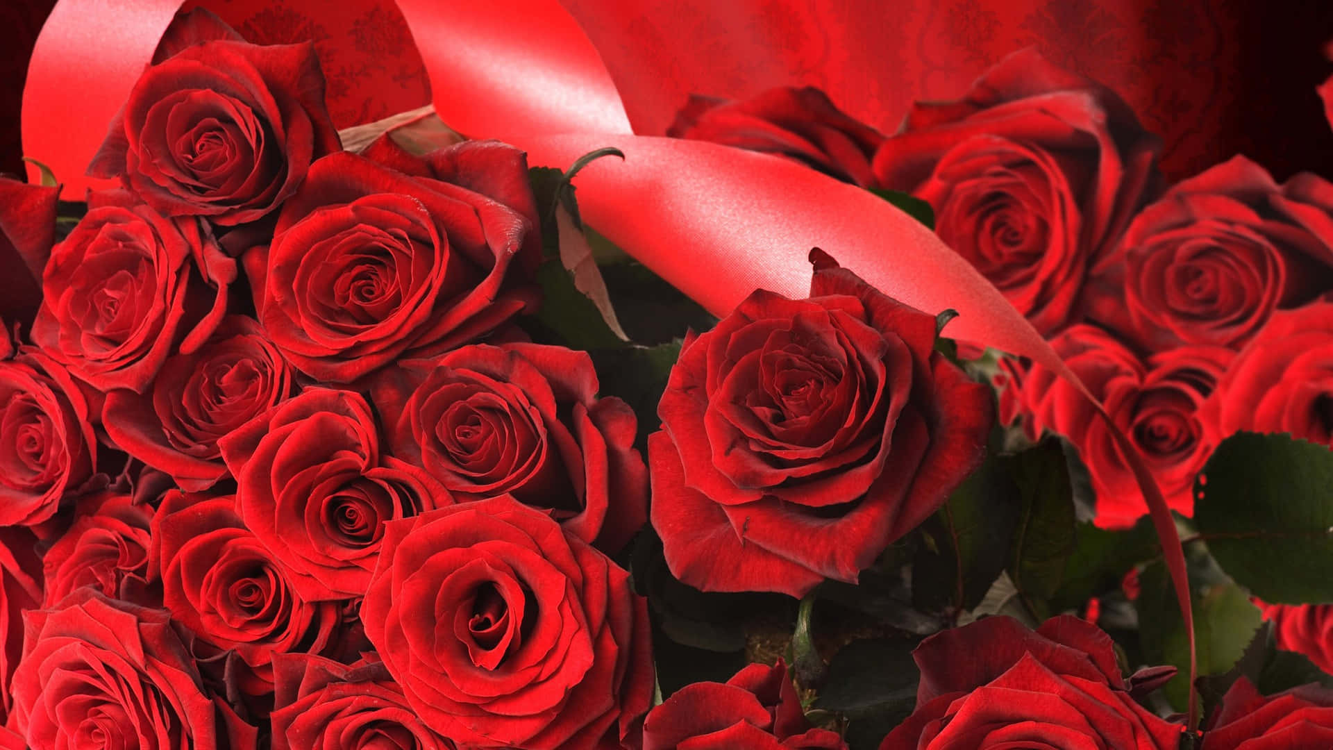 HD Rose Red Aesthetic Wallpaper