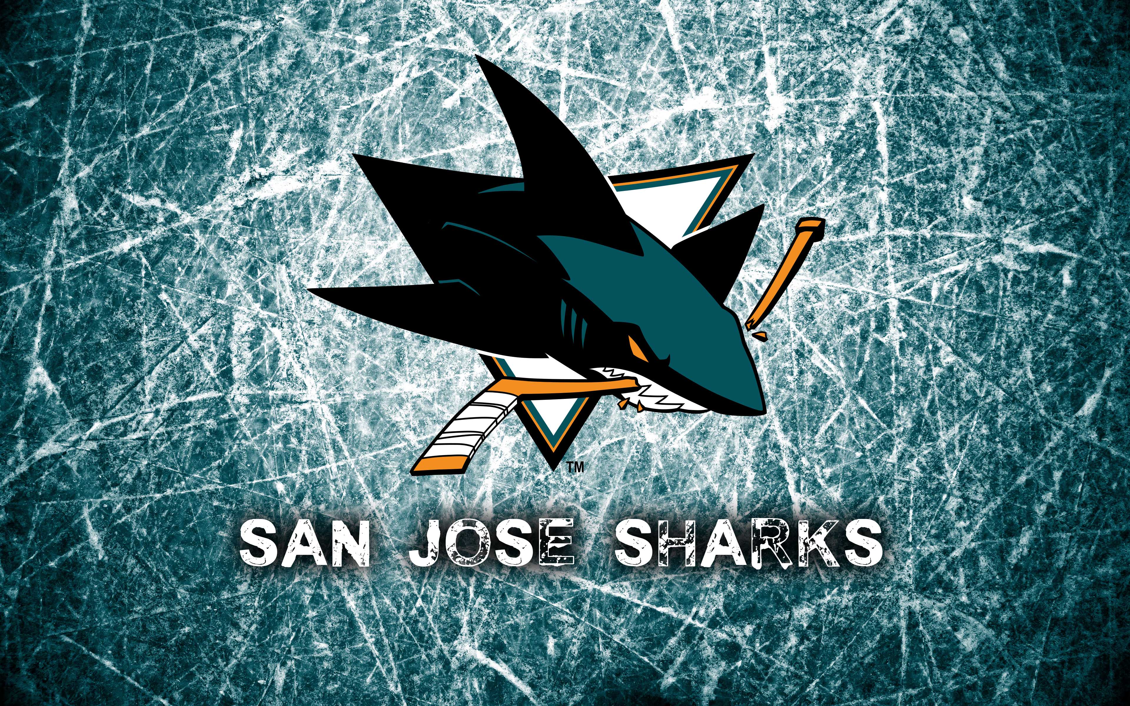 San Jose Sharks 2014 Logo Wallpaper