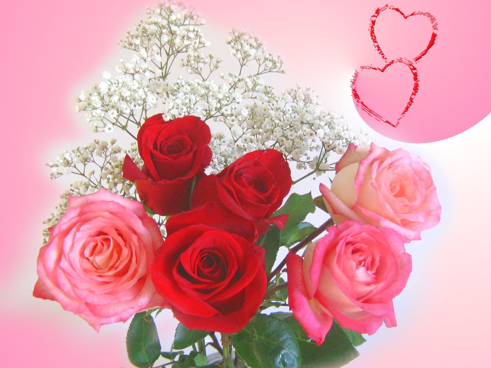 Red Roses For Valentines Day Flowers Days