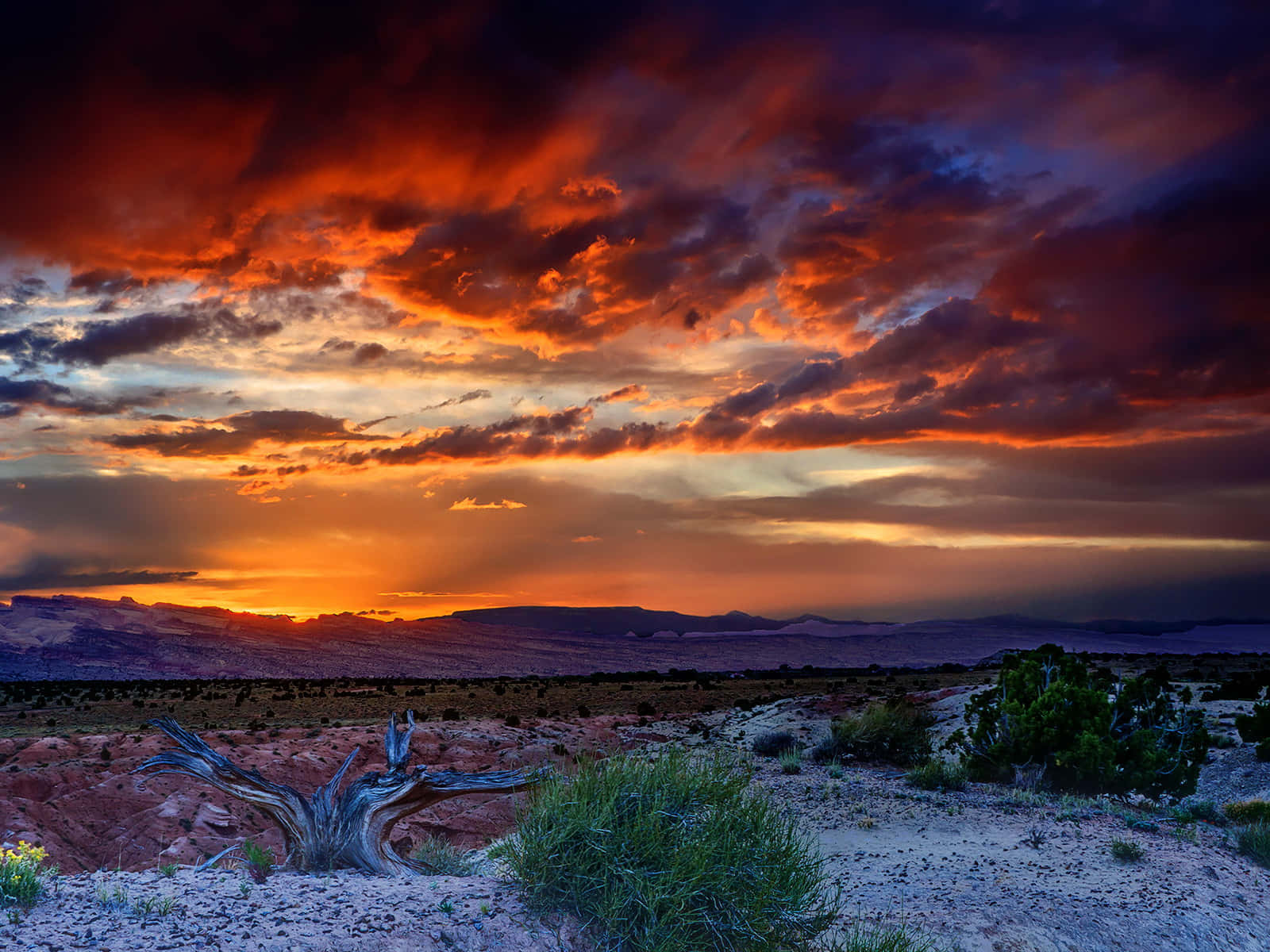 Stunning Culpable Sunset Wallpaper